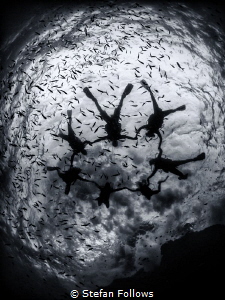 “Why, sometimes I've believed as many as six impossible t... by Stefan Follows 